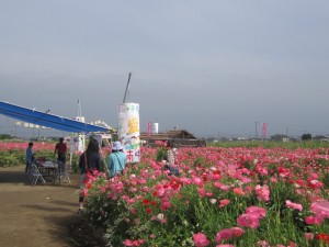 IMG_3107